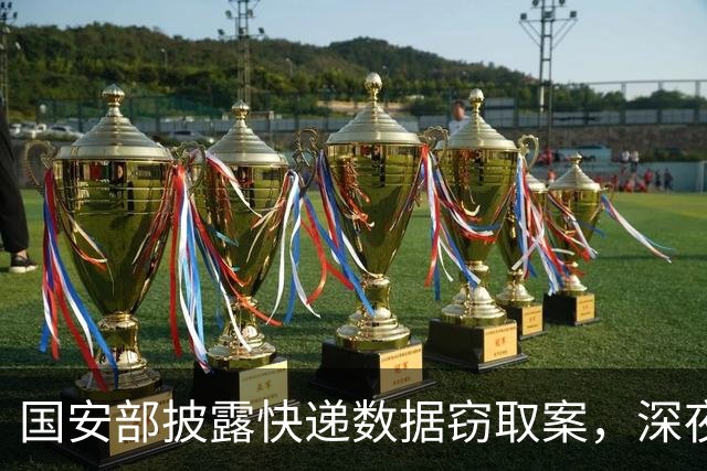 国安部披露快递数据窃取案，深夜偷盗未遂及时被发现